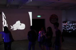 GIF Festival 2017 IMG_3402