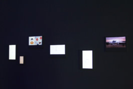 GIF Festival 2017 IMG_3418