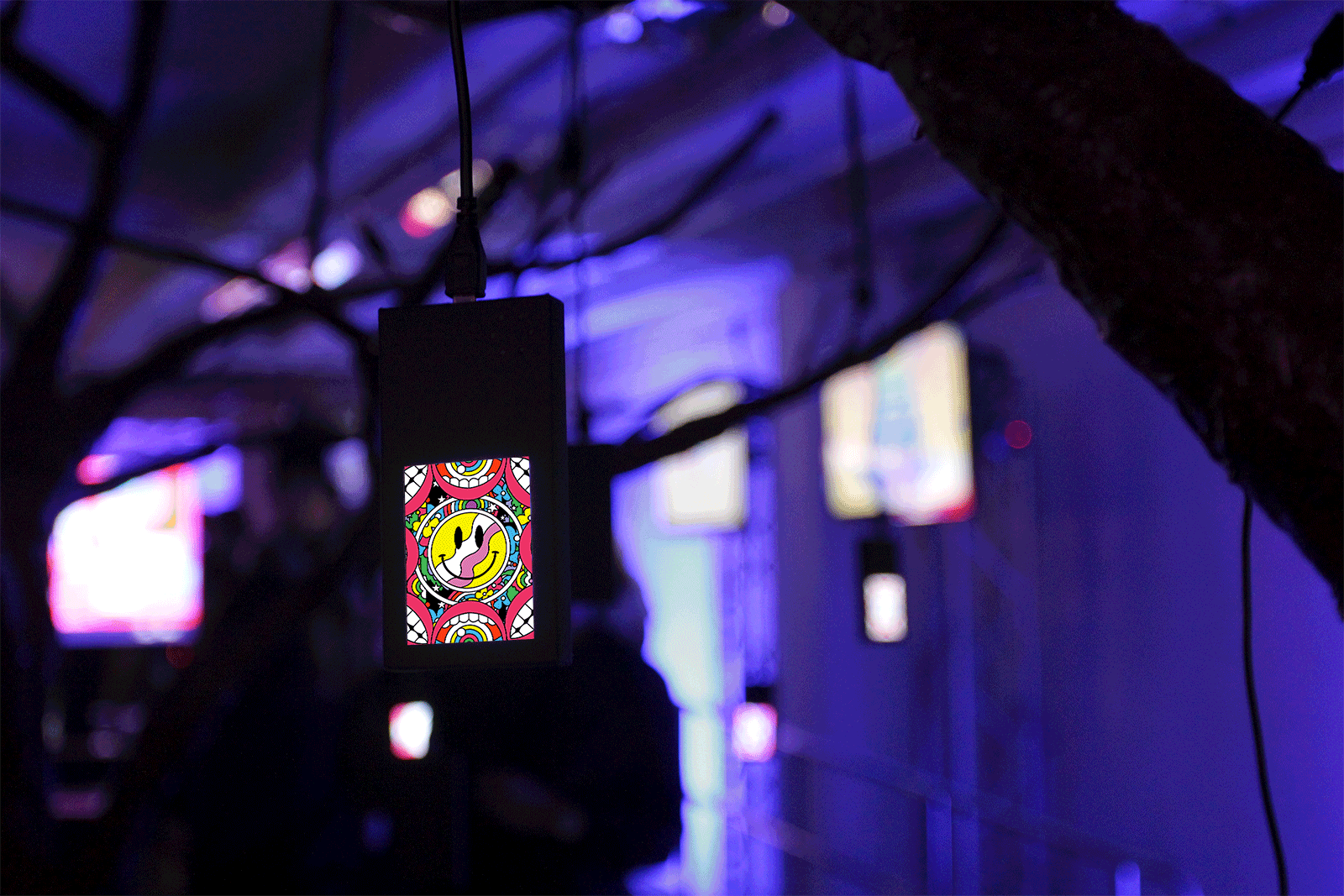 GIF Festival 2017 TREE